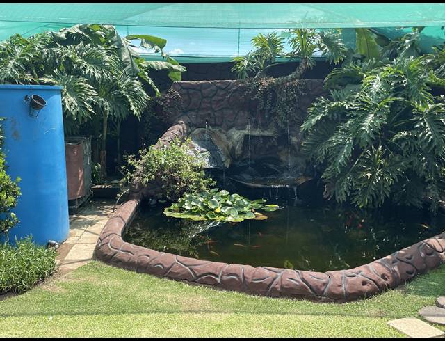 3 BEDROOM HOUSE FOR SALE IN DALPARK PROPER